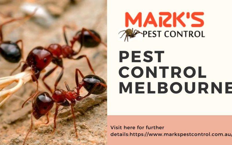 Pest Control