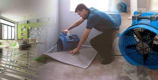 Flood Restoration