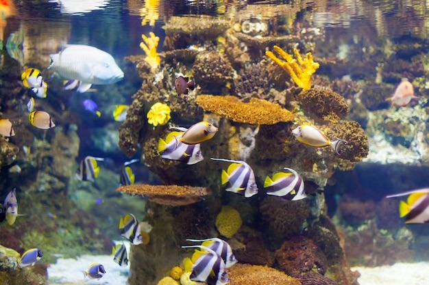 Best Aquariums In Newcastle