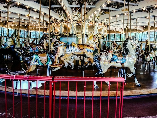 Best Circus in Perth