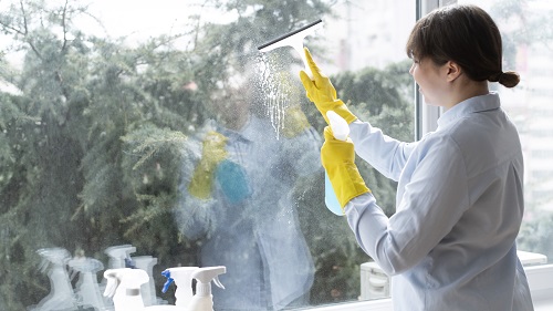 Window Cleaning Services