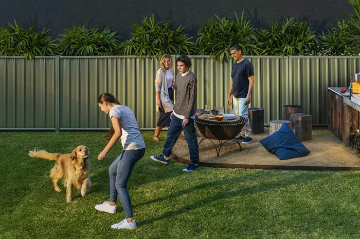 Colorbond Fence