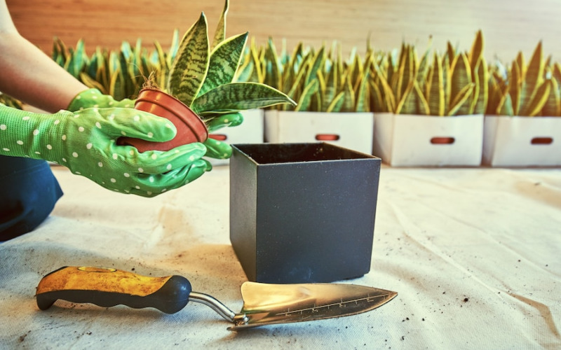 Pots and Planters
