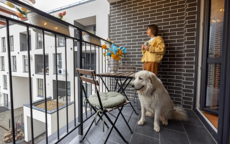 Pet-Friendly Building Designs