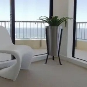 indoor plant rental