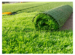Artificial Grass Cost Perth